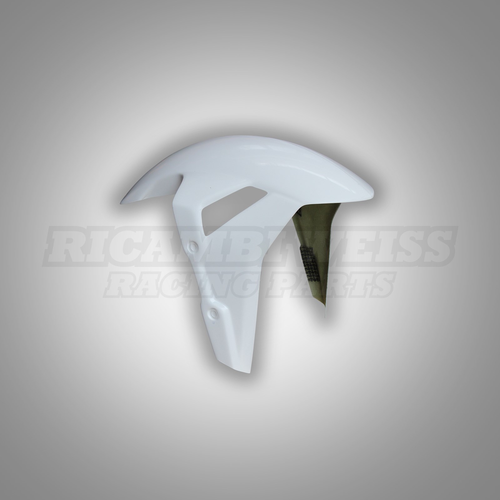 LR335 BMW S 1000 RR Schutzblech vorne