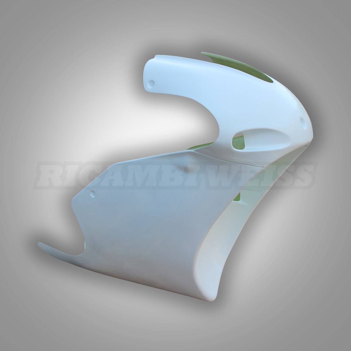 LR211 Yamaha TZ / TZM 250 Rennverkleidung