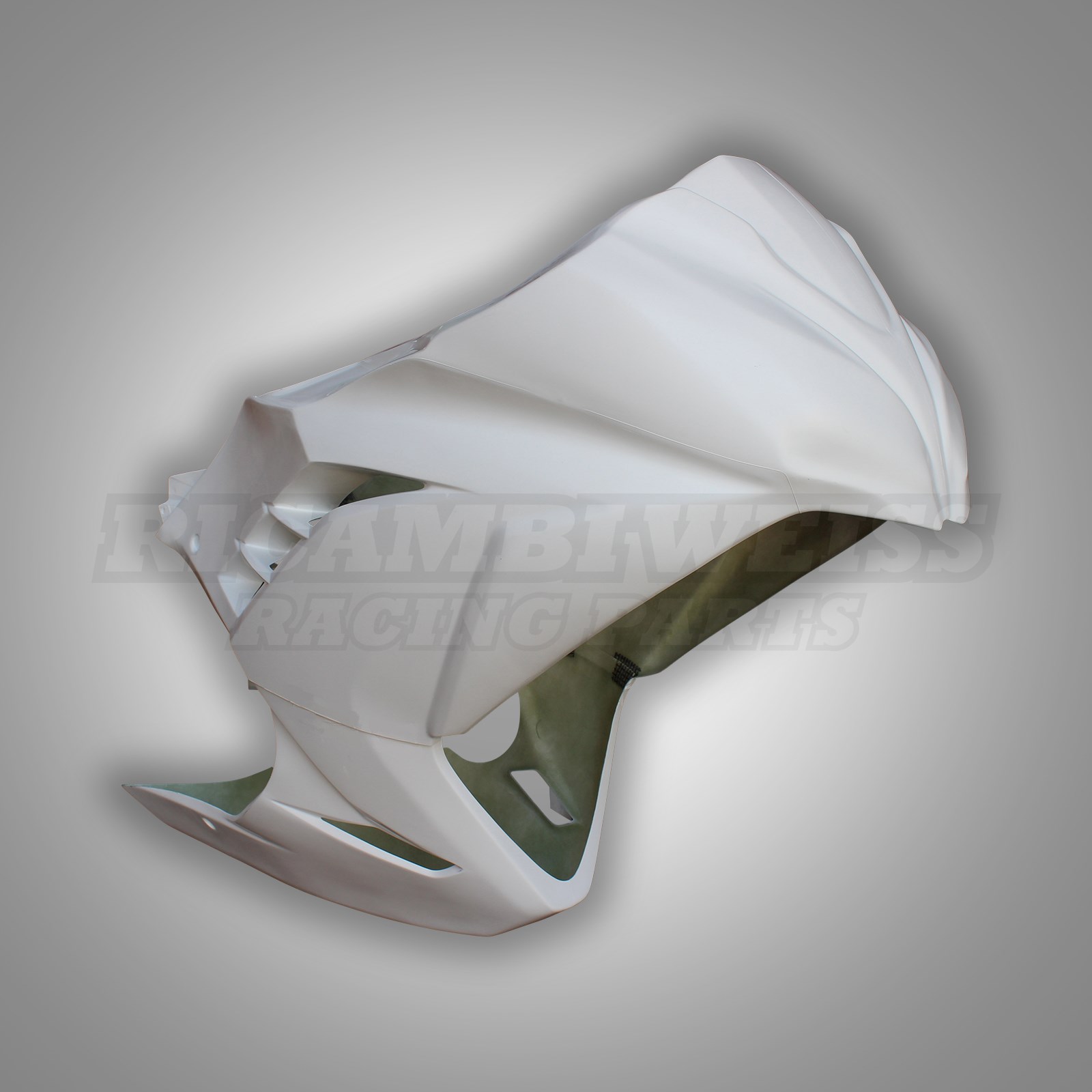 LR350 Kawasaki Ninja 300 Rennverkleidung