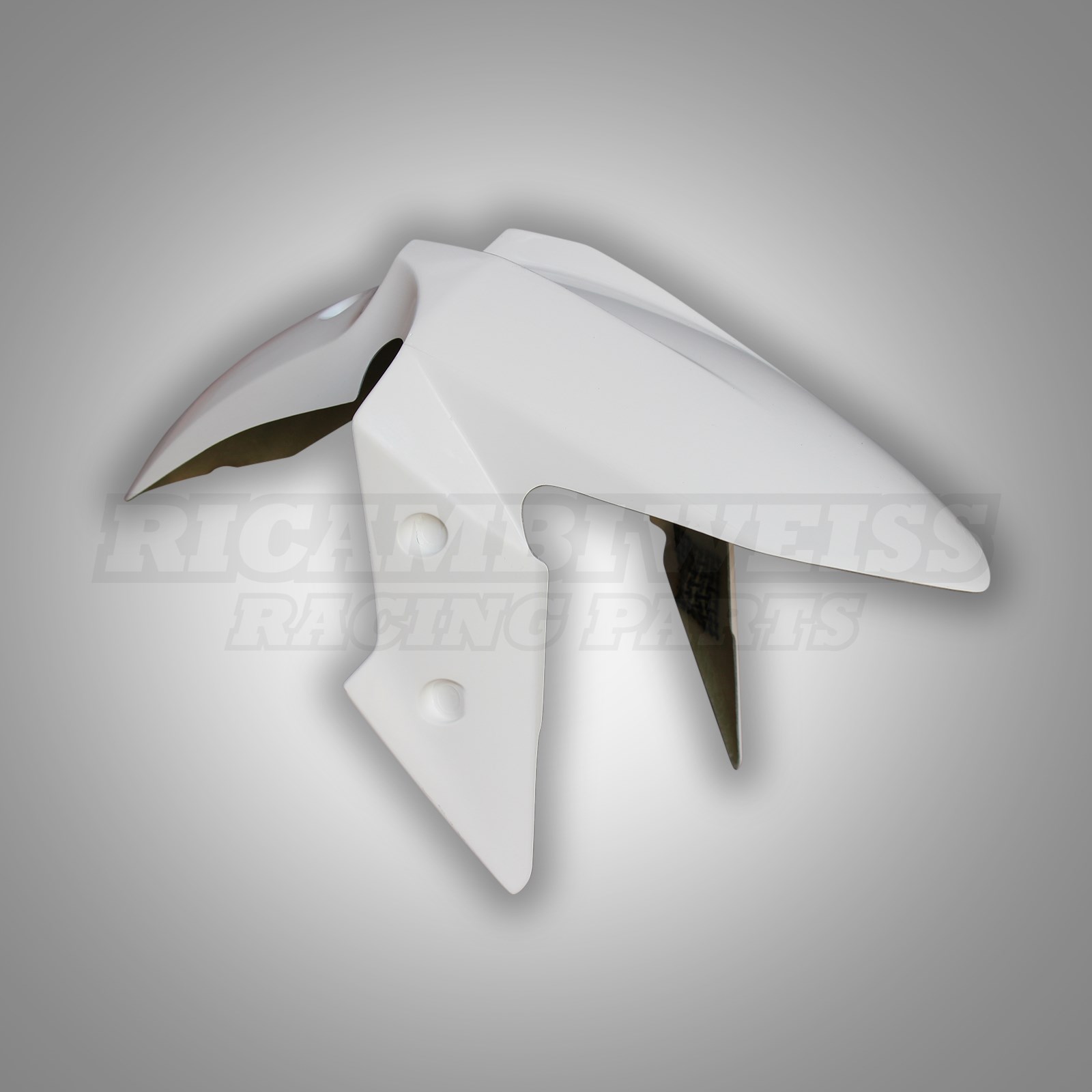 LR353 Schutzblech vorne Kawasaki Ninja 300