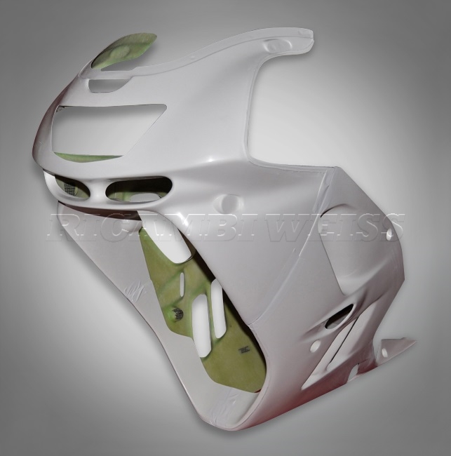 DR101/S Kawasaki ZX 9 R Straßenverkleidung