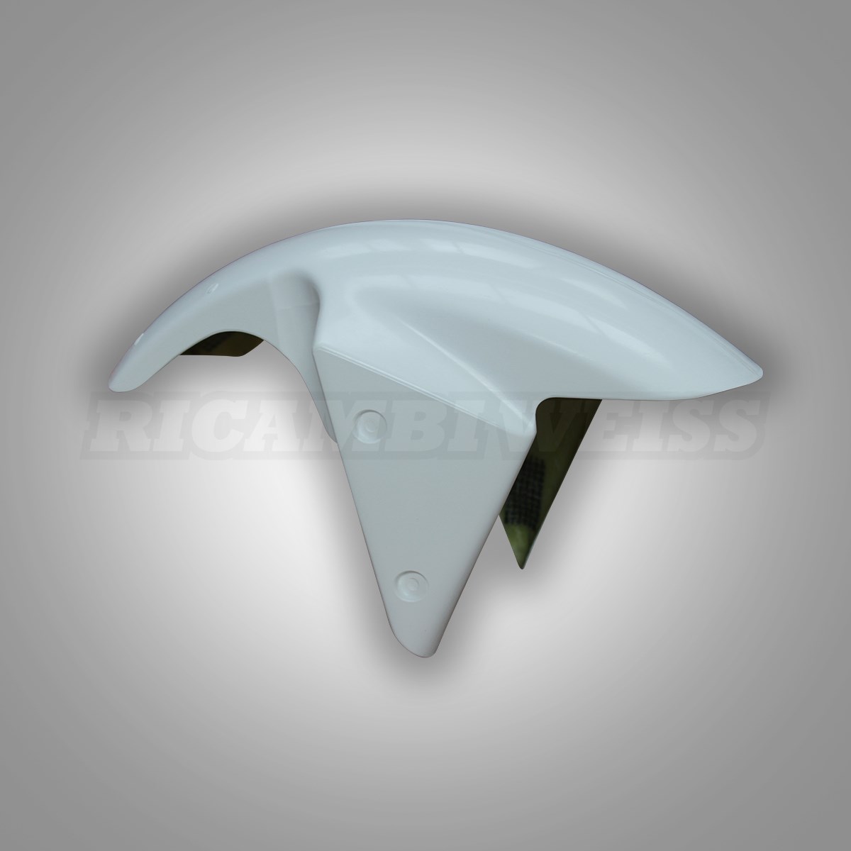 LR59 Schutzblech vorne Kawasaki ZX 6 R RR