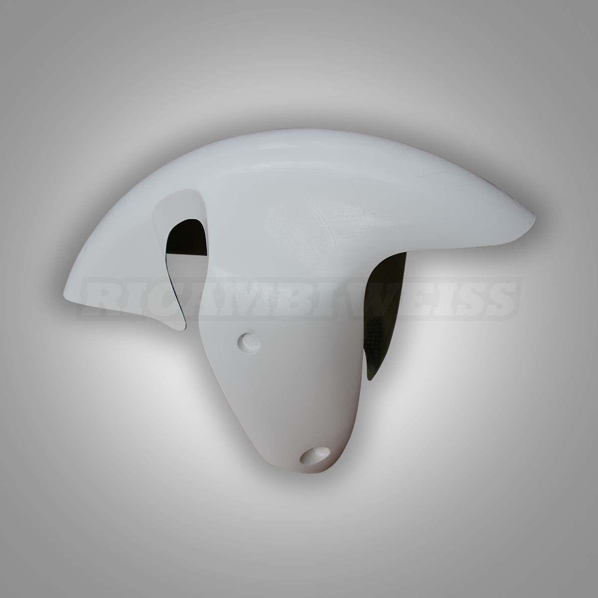 WR55 Schutzblech vorne Suzuki GSX R 1300 Hayabusa WR55 Schutzblech vorne Suzuki GSX R 1300 Hayabusa