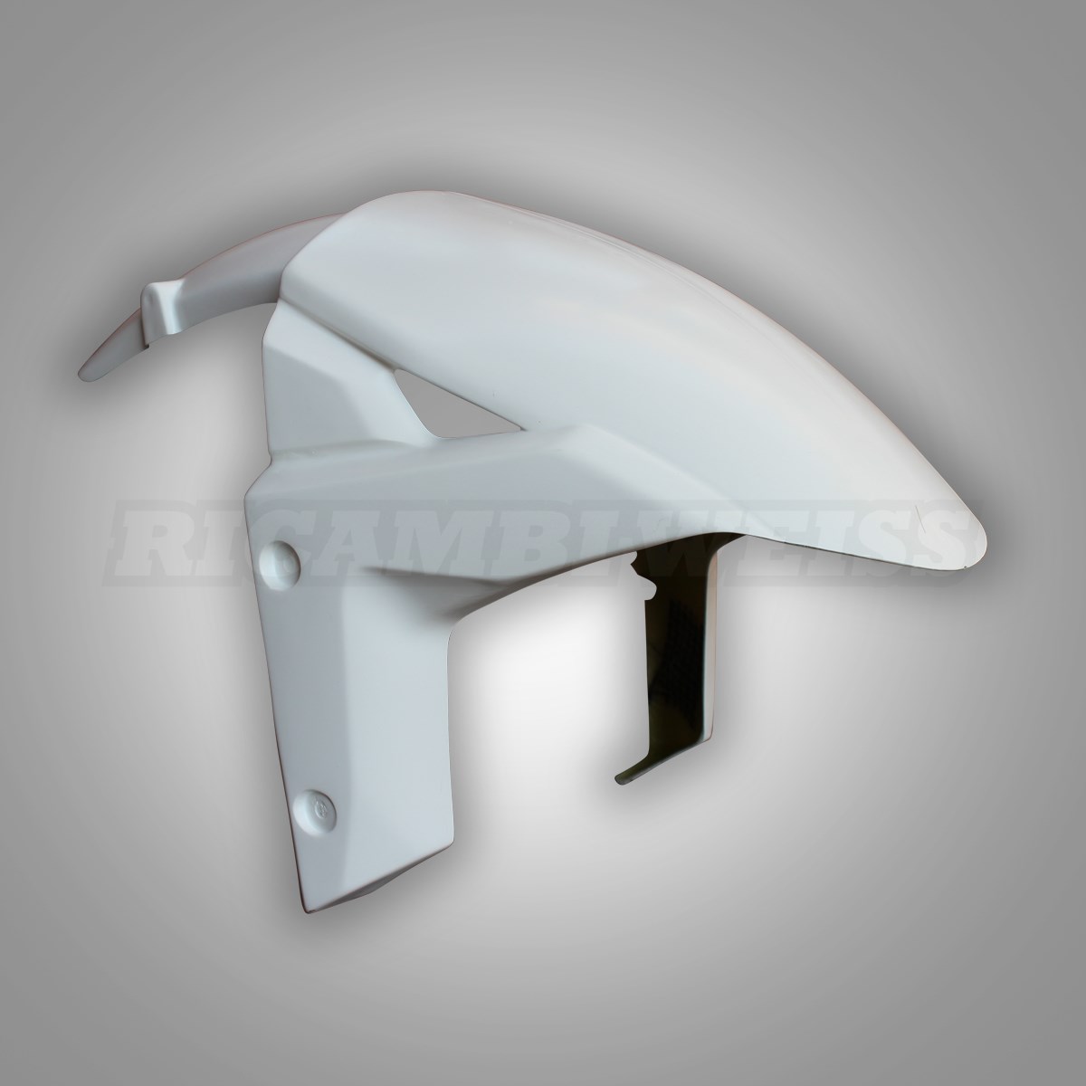 LR122 Kawasaki ZX 10 R Schutzblech vorne