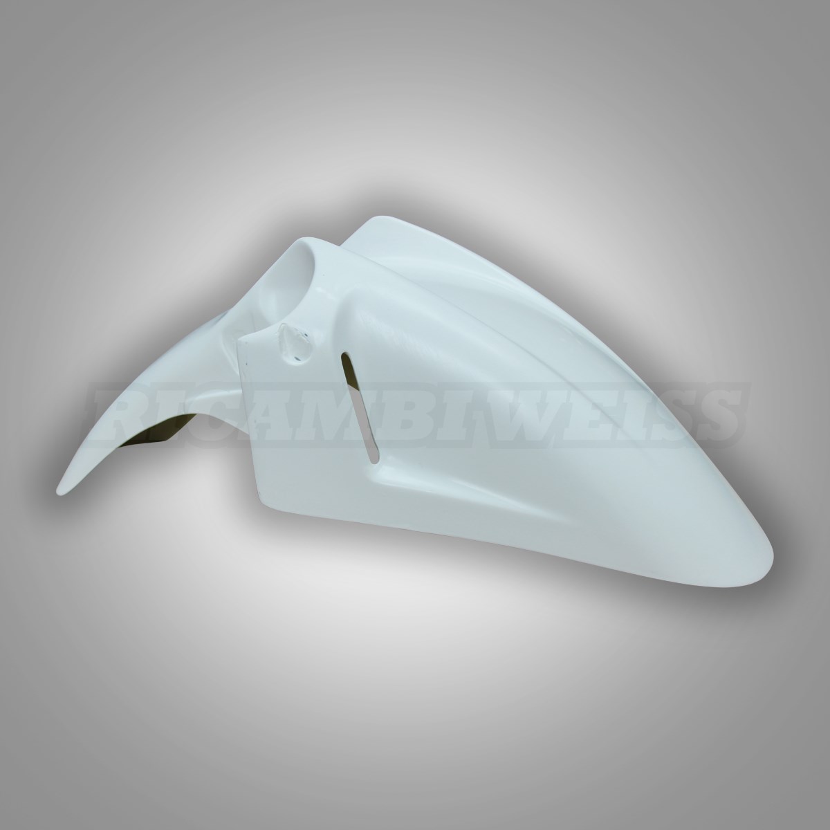 LR55 Schutzblech vorne Honda CBR 600 F2 PC25