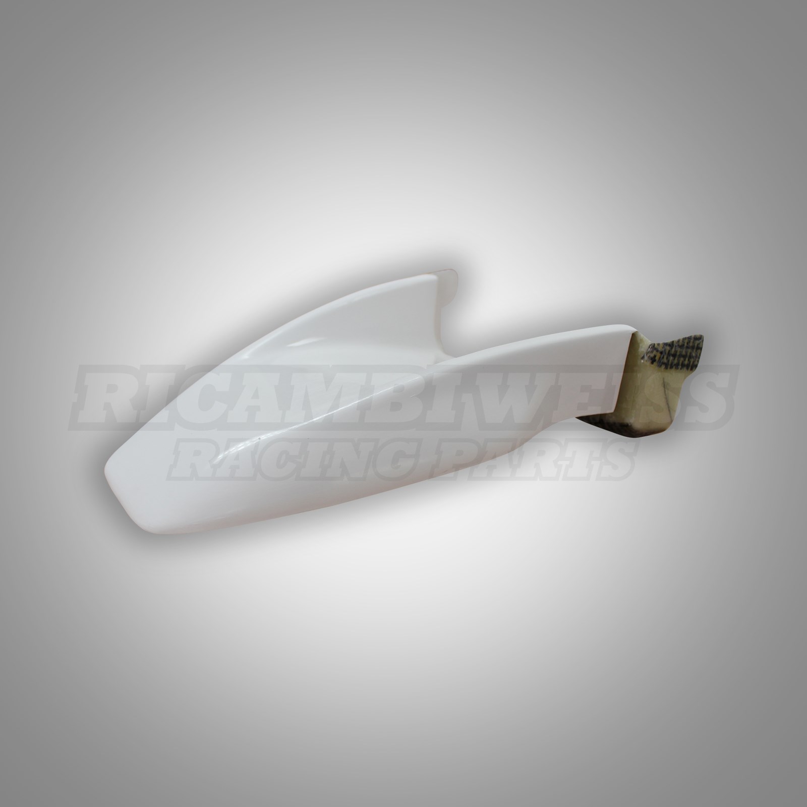 RE147 Hinterradabdeckung BMW R 1100 GS