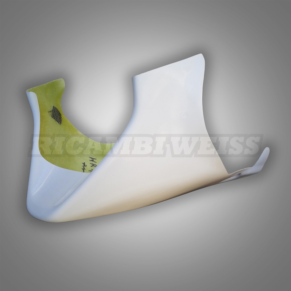 WR19 Yamaha FJ 1100 1200 XJR Bugspoiler