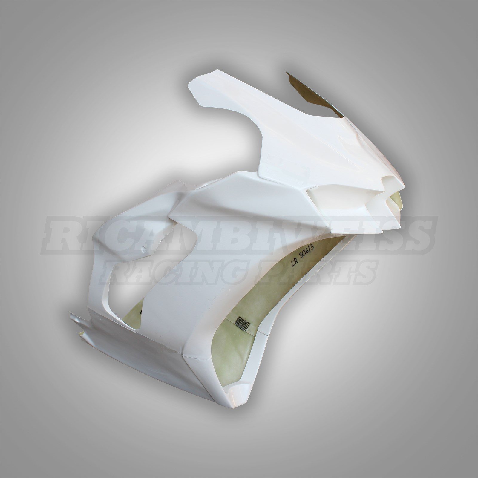 LR306 Kawasaki ZX 10 R Rennverkleidung