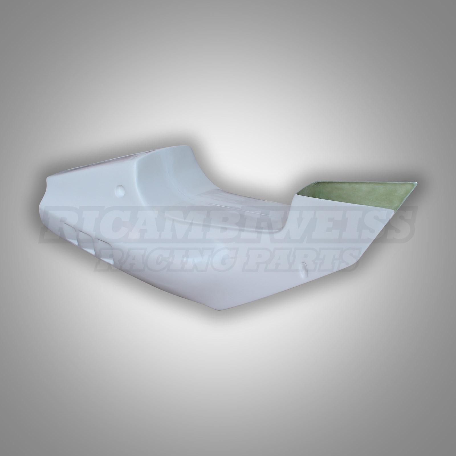 LR346 Höcker Suzuki RGV 250