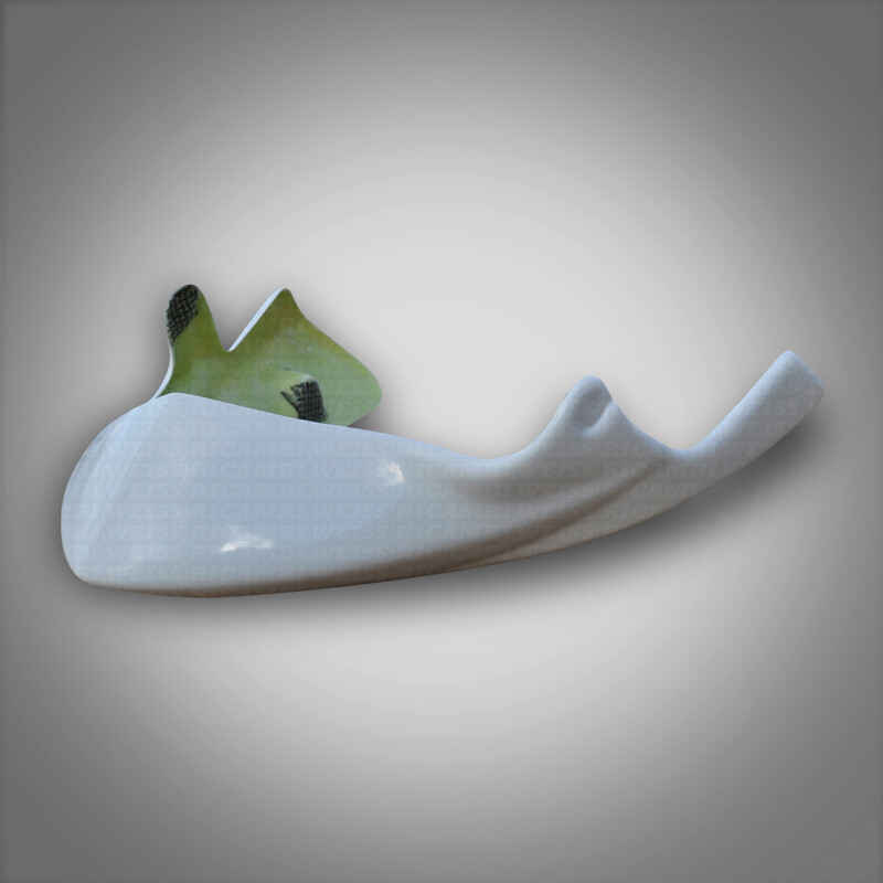 DR411 Triumph Speed Triple T 595 N Bugspoiler