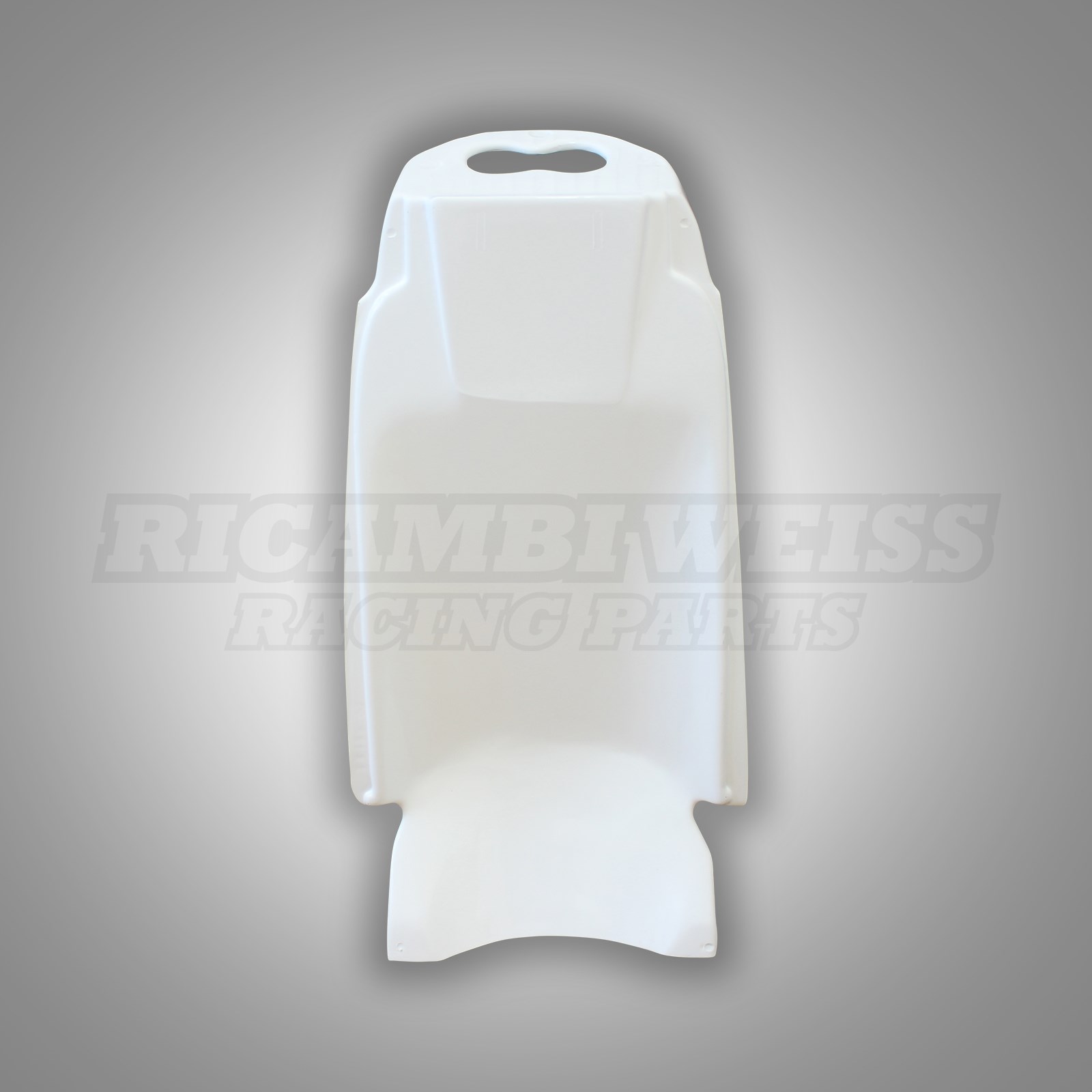 RE160 Heckunterverkleidung Kawasaki ZX 12 R