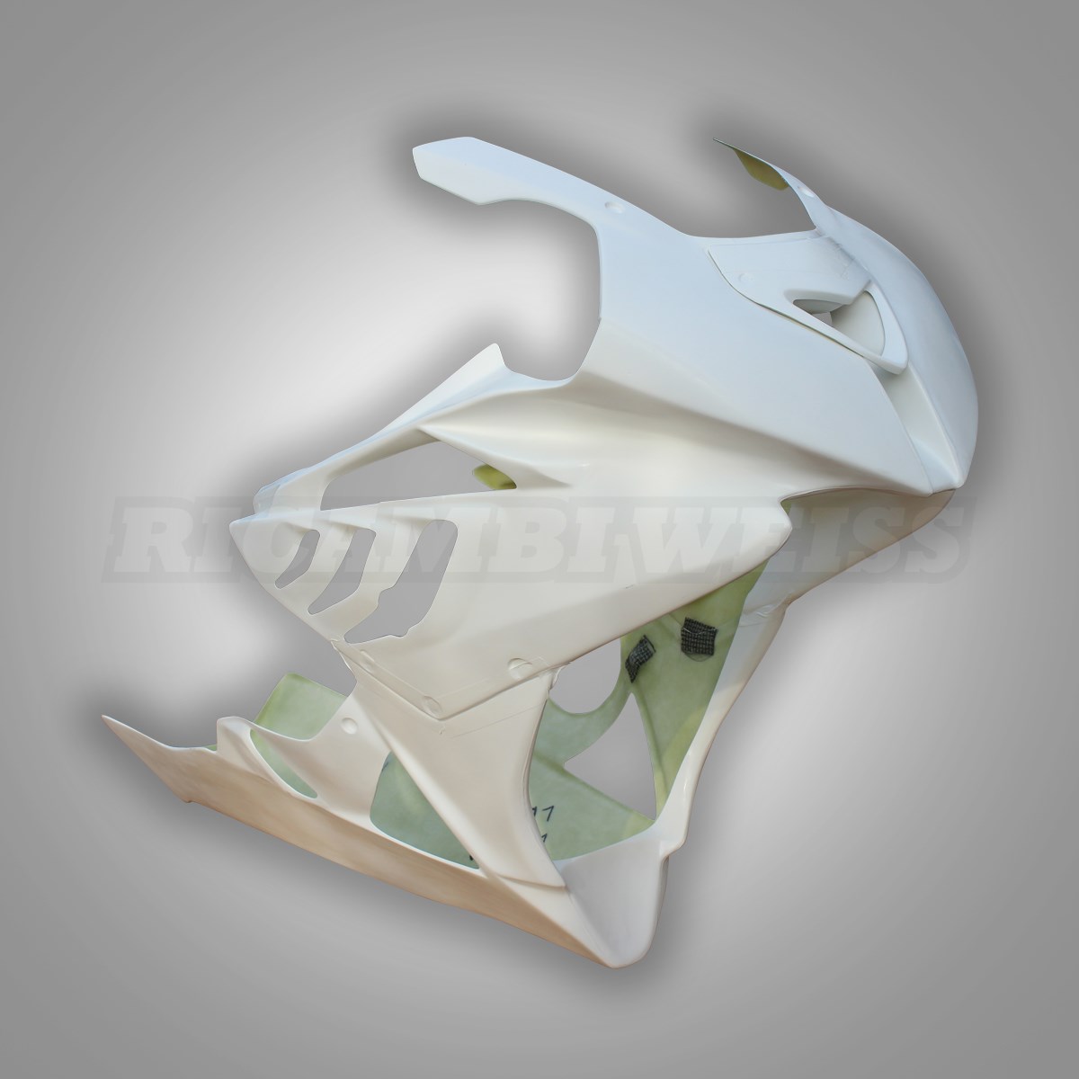 LR96 BMW S1000 RR Rennverkleidung