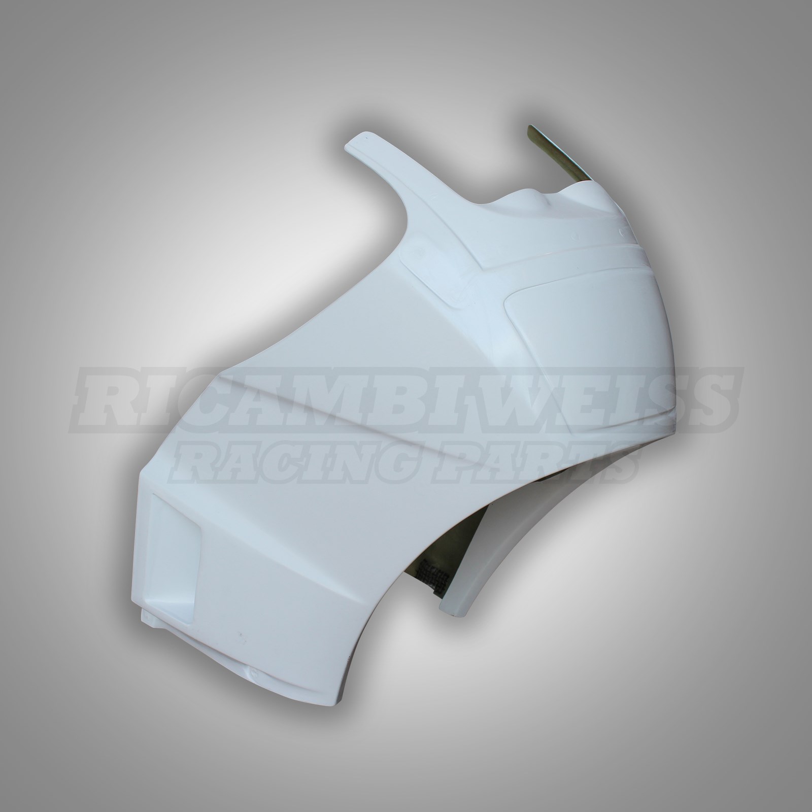 LR345 Kawasaki GPZ 600 R Kanzel