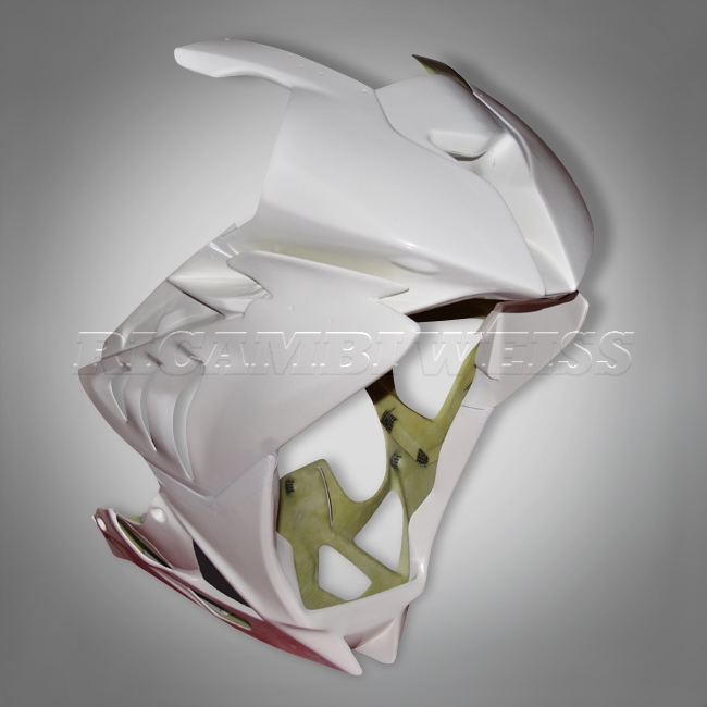 DR173 BMW S1000 RR Rennverkleidung