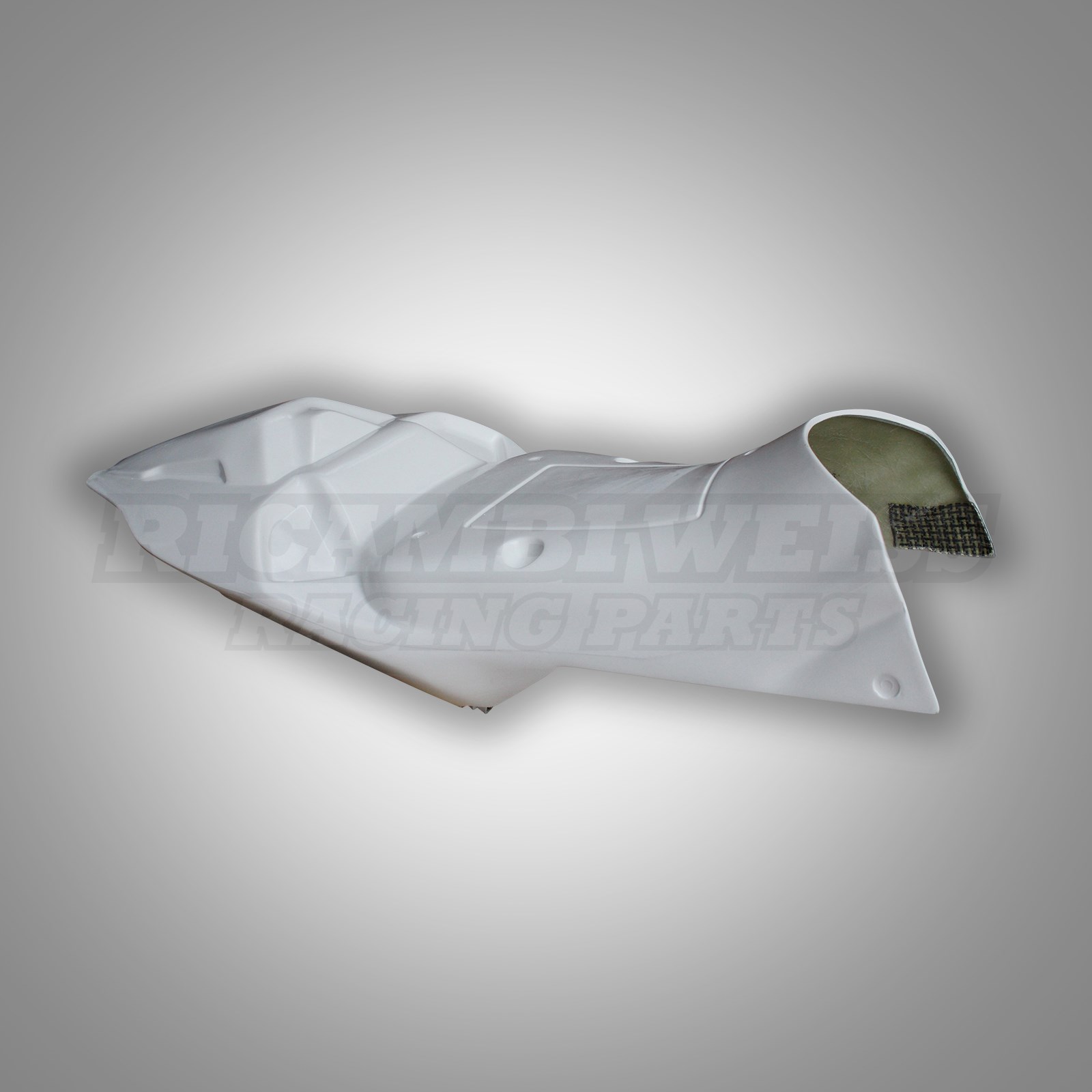 LR333 BMW S 1000 RR Höcker