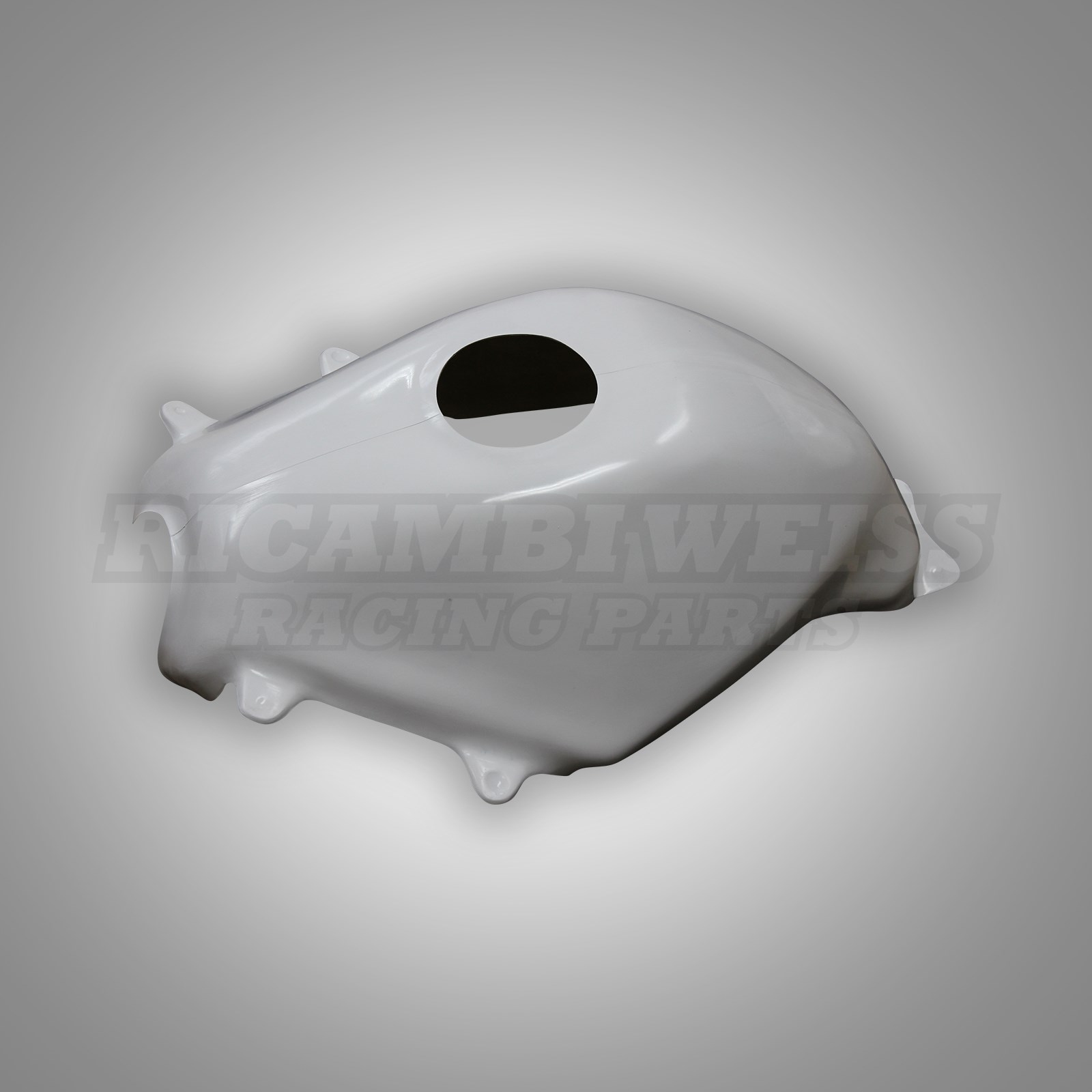 LR367 Kawasaki Ninja 250 R Tankhaube