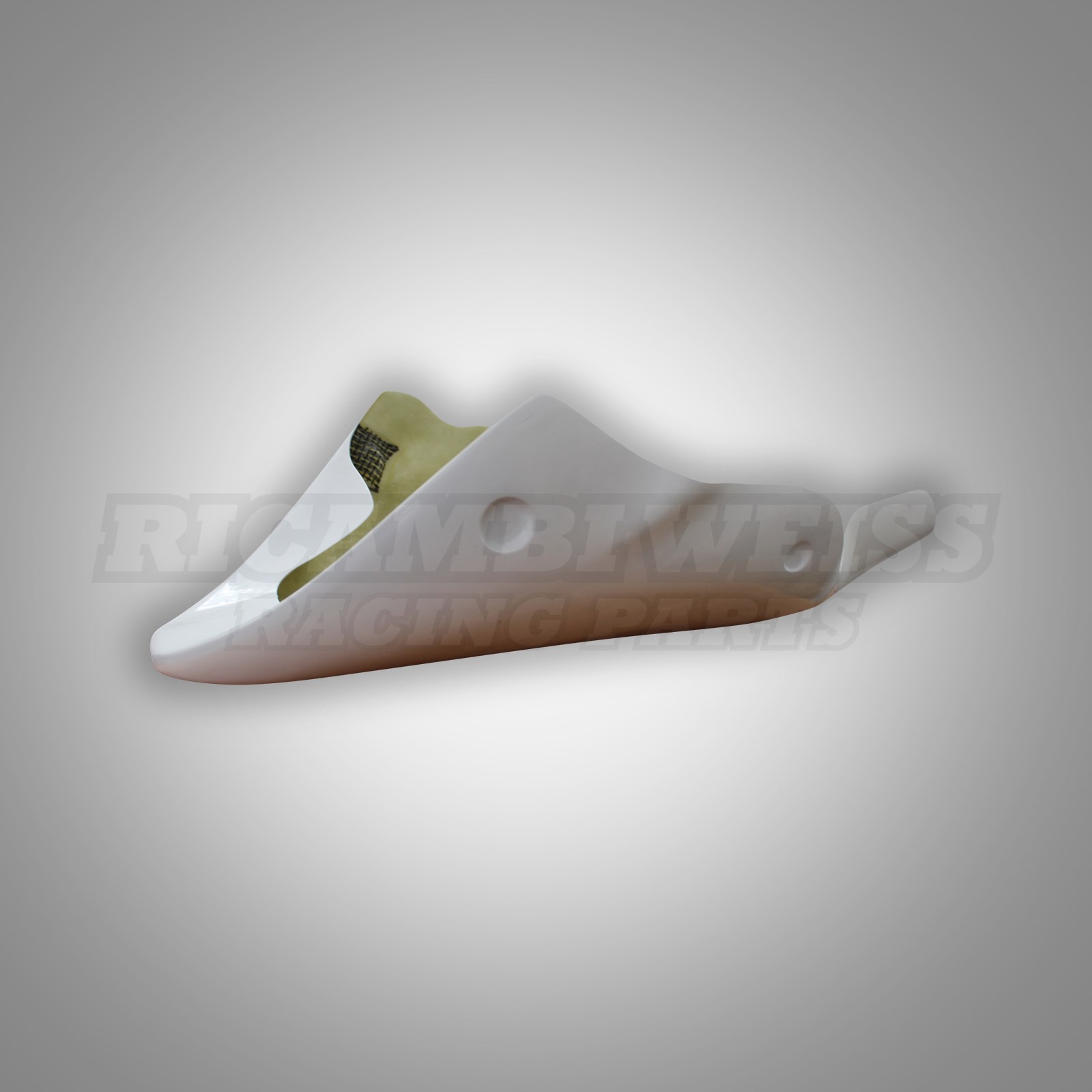 RE118 Bugspoiler Kawasaki ZRX 1100 ZRX 1200