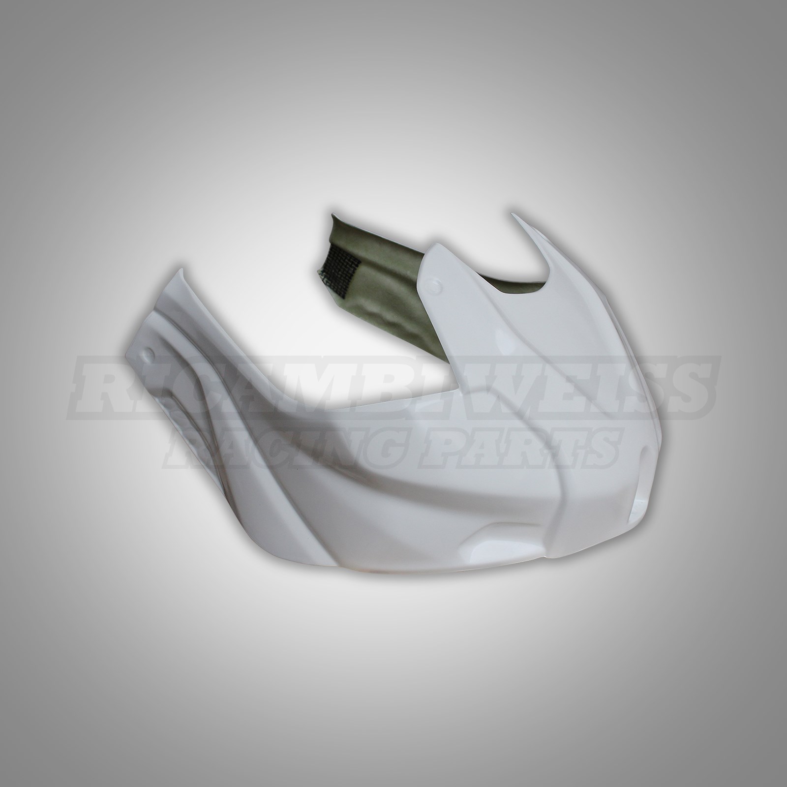 LR330 BMW S1000 RR Tankhaube