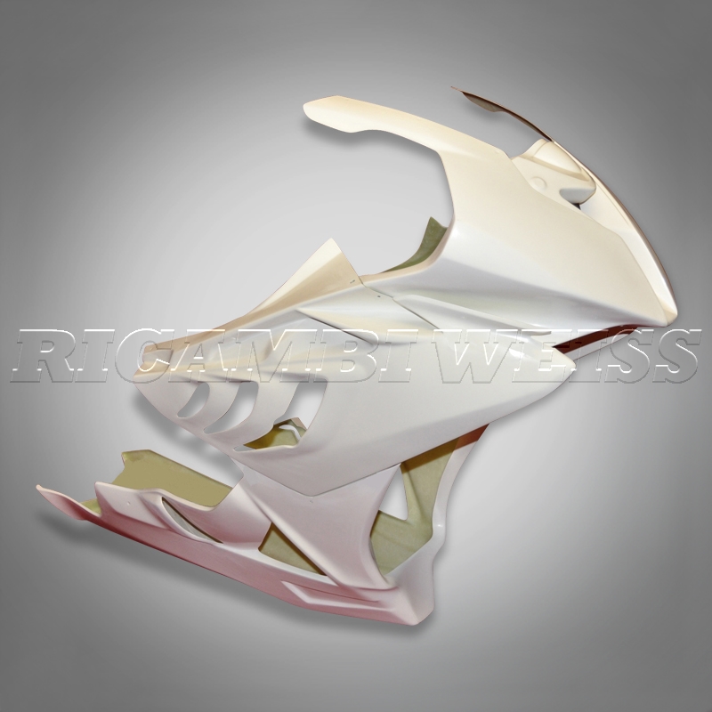 DR161 BMW S1000 RR Rennverkleidung