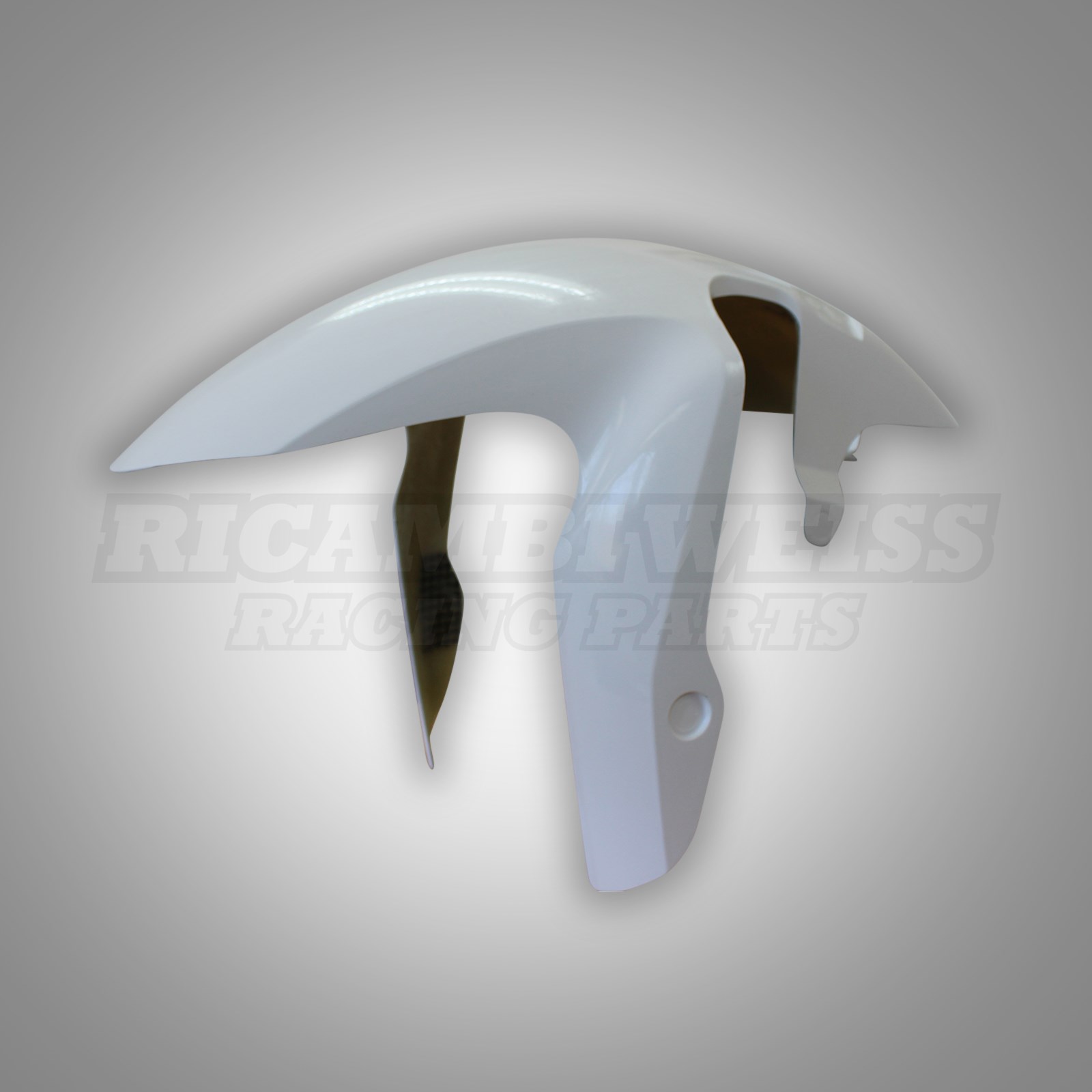 RE156 Schutzblech vorne Honda CB 1000 R