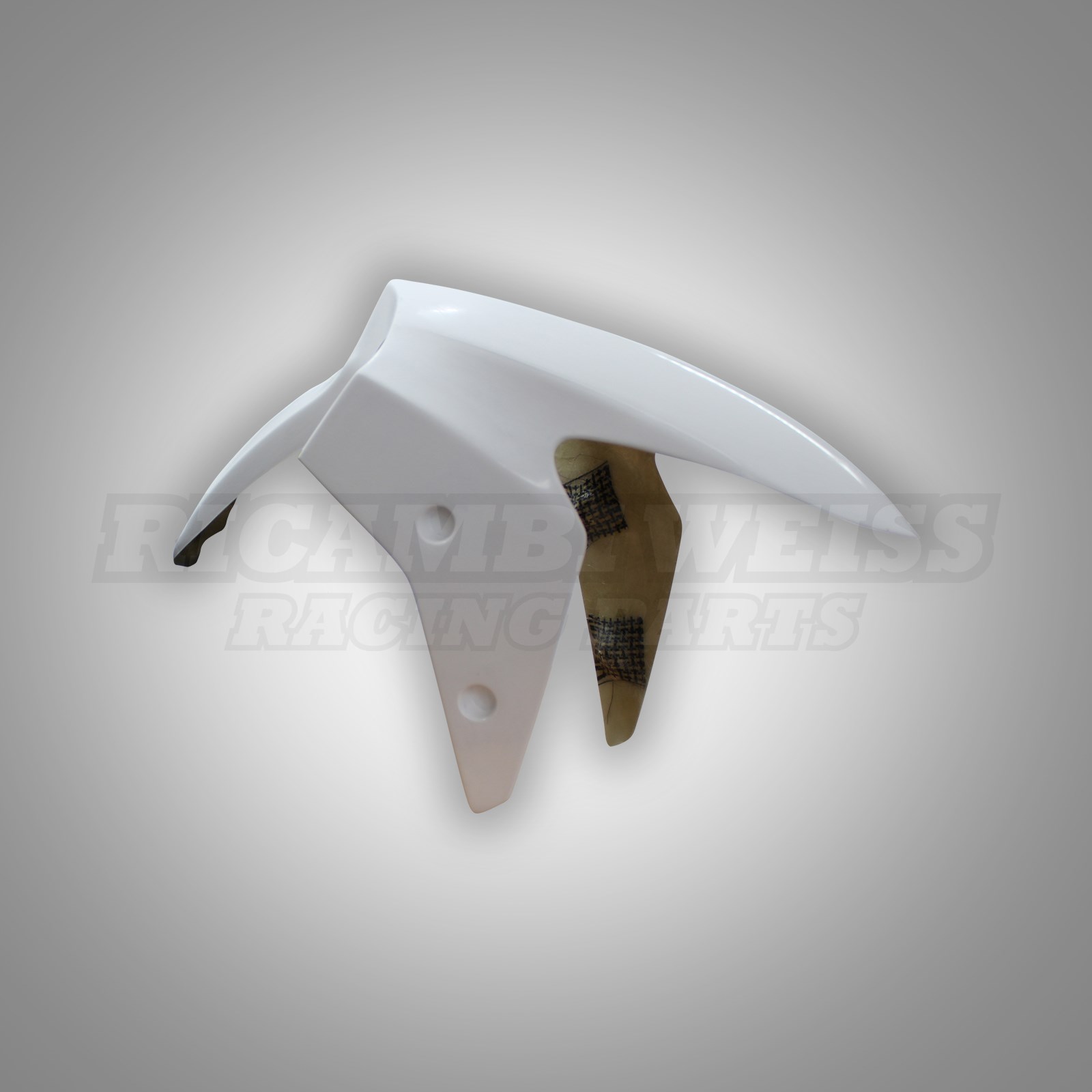 LR368 Schutzblech vorne Kawasaki Ninja 250 R