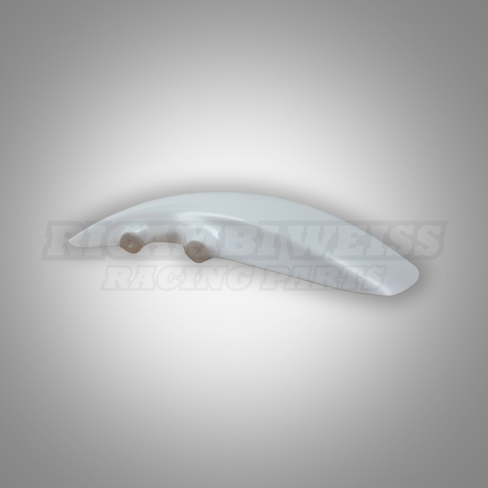 RE116 Schutzblech vorne Kawasaki ZRX 1100 1200