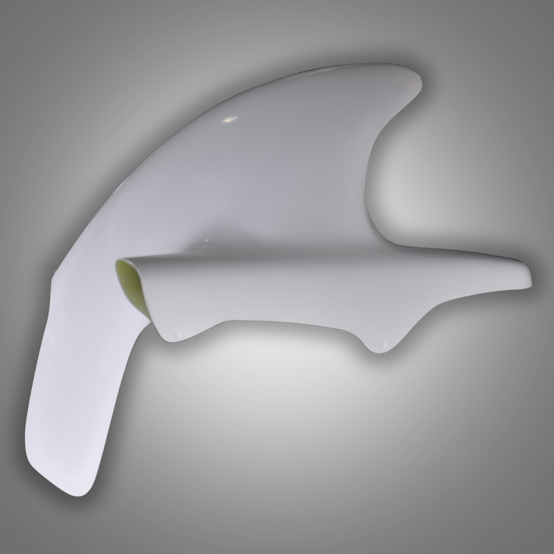 WR33 Hinterradabdeckung Kawasaki ZX 12R