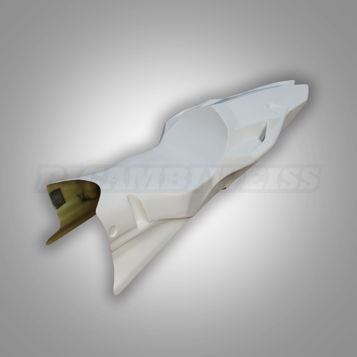 LR81 BMW S 1000 RR Höcker