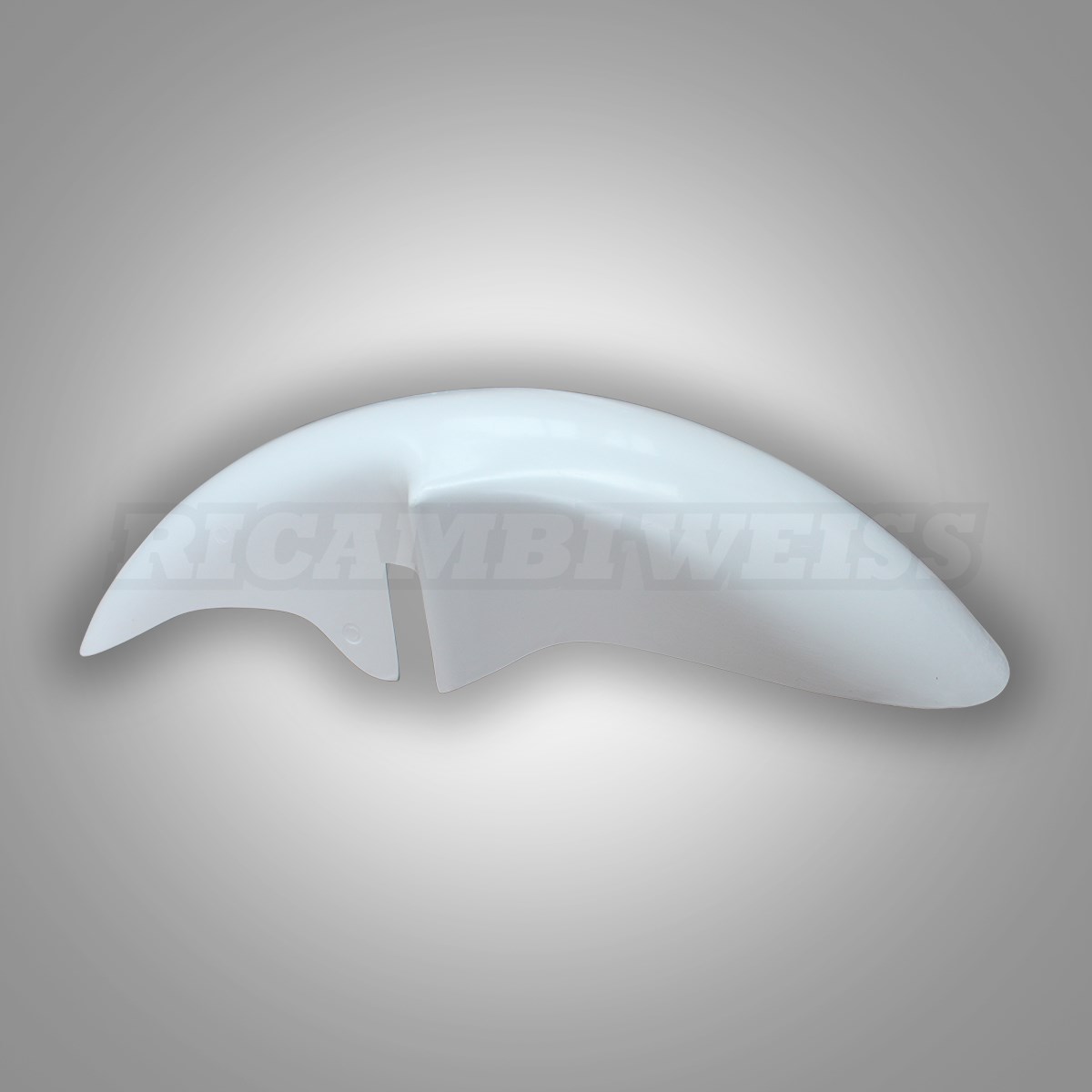 LR57 Schutzblech vorne Kawasaki ZXR 750 H