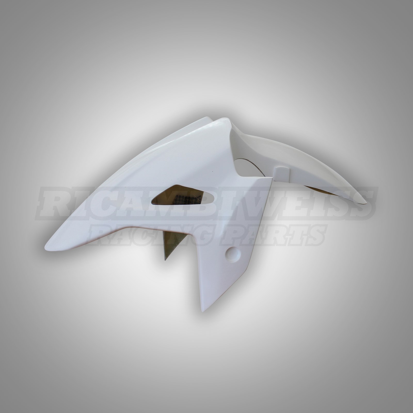 LR388 Kawasaki Ninja 400 Schutzblech vorne