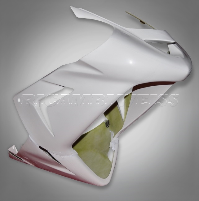 DR110 Kawasaki ZX 10 R Rennverkleidung