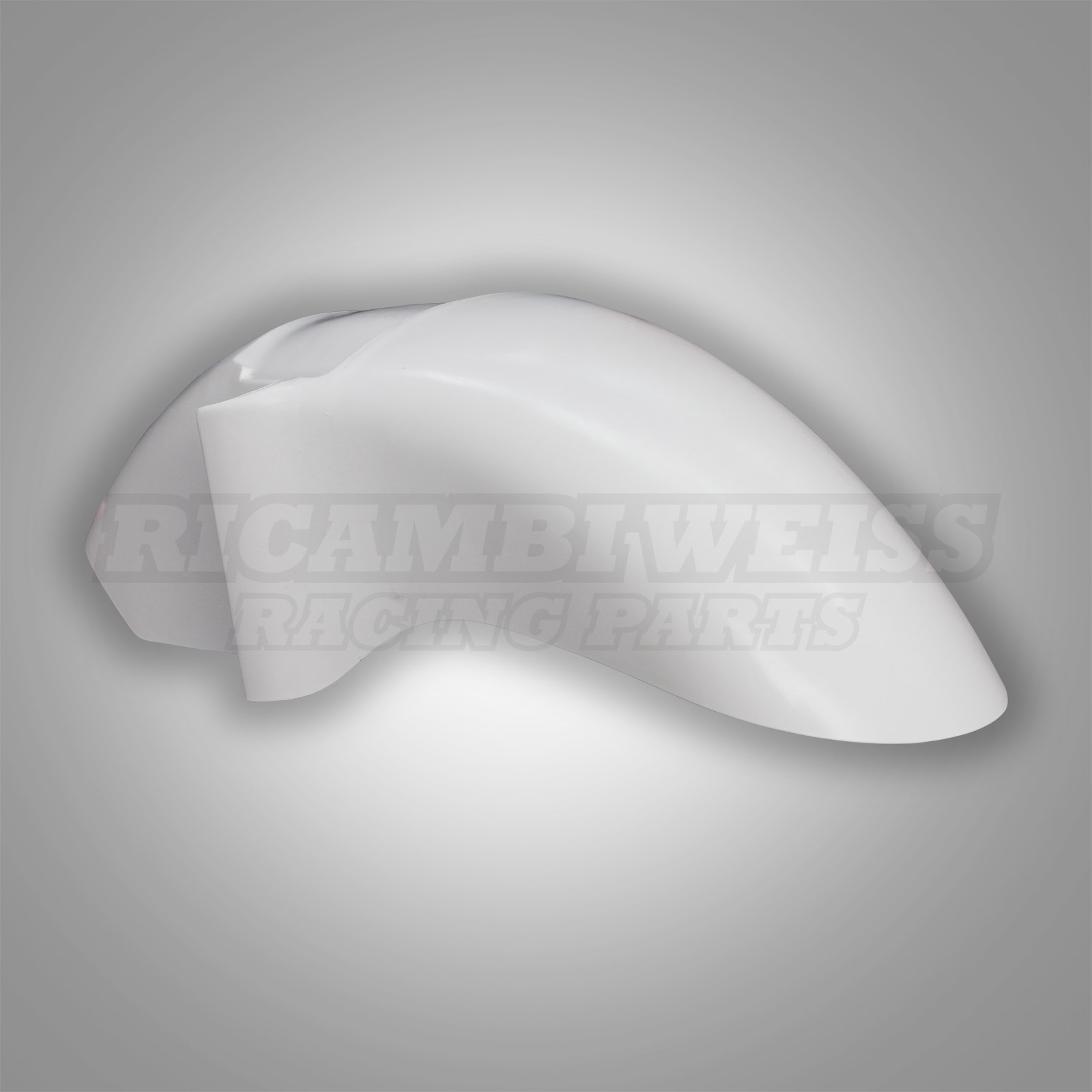 LR285 Schutzblech vorne Kawasaki GPZ 1000 RX