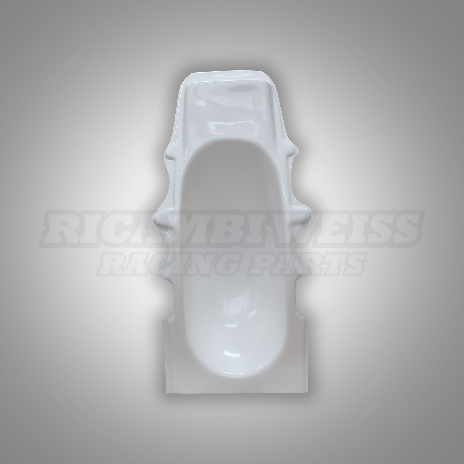 RE106 Heckunterverkleidung Yamaha YZF 1000 R Thunderace