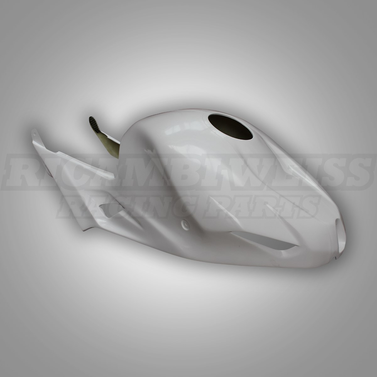 LR276 BMW S1000 RR Tankhaube