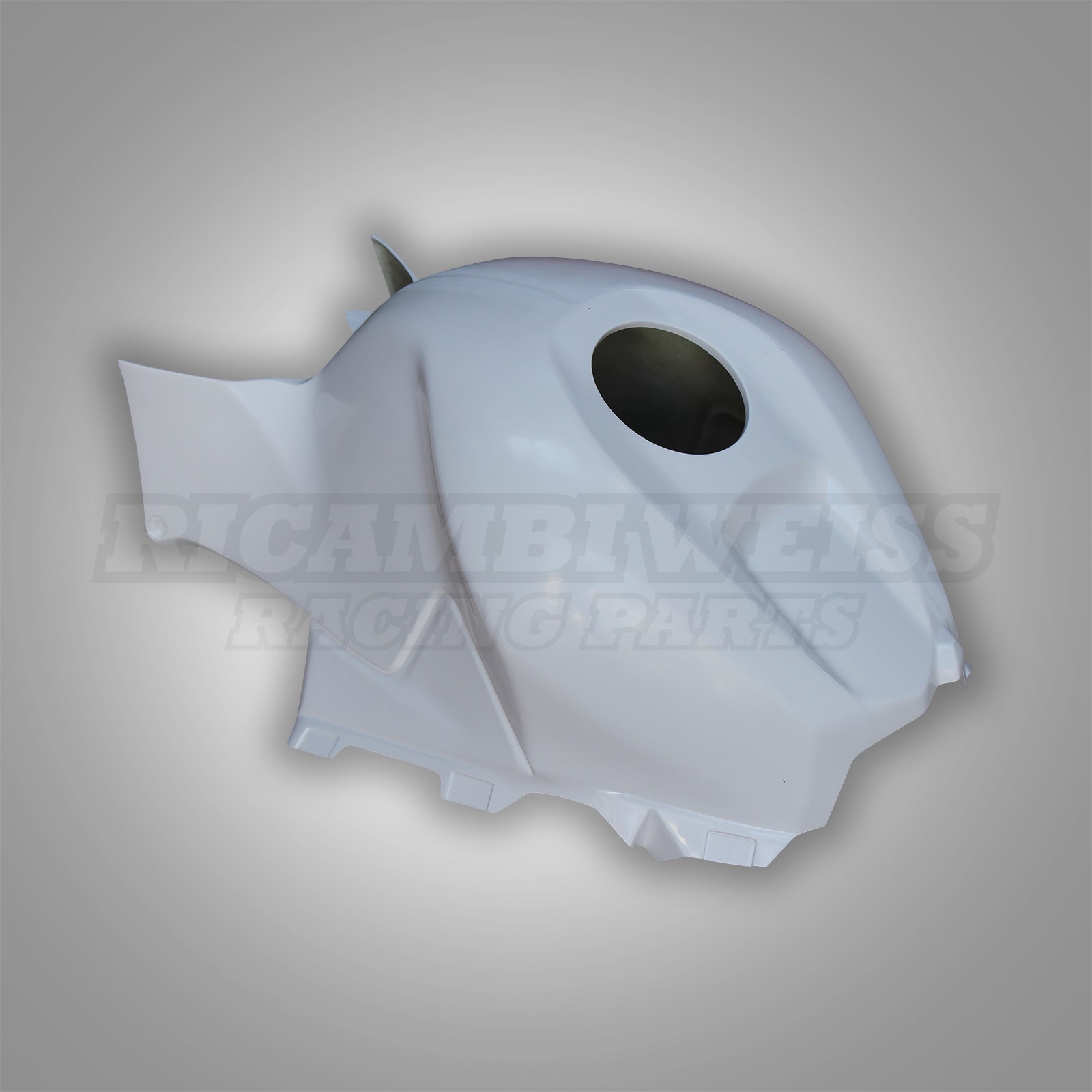 LR313 Honda CBR 600 RR Tankhaube