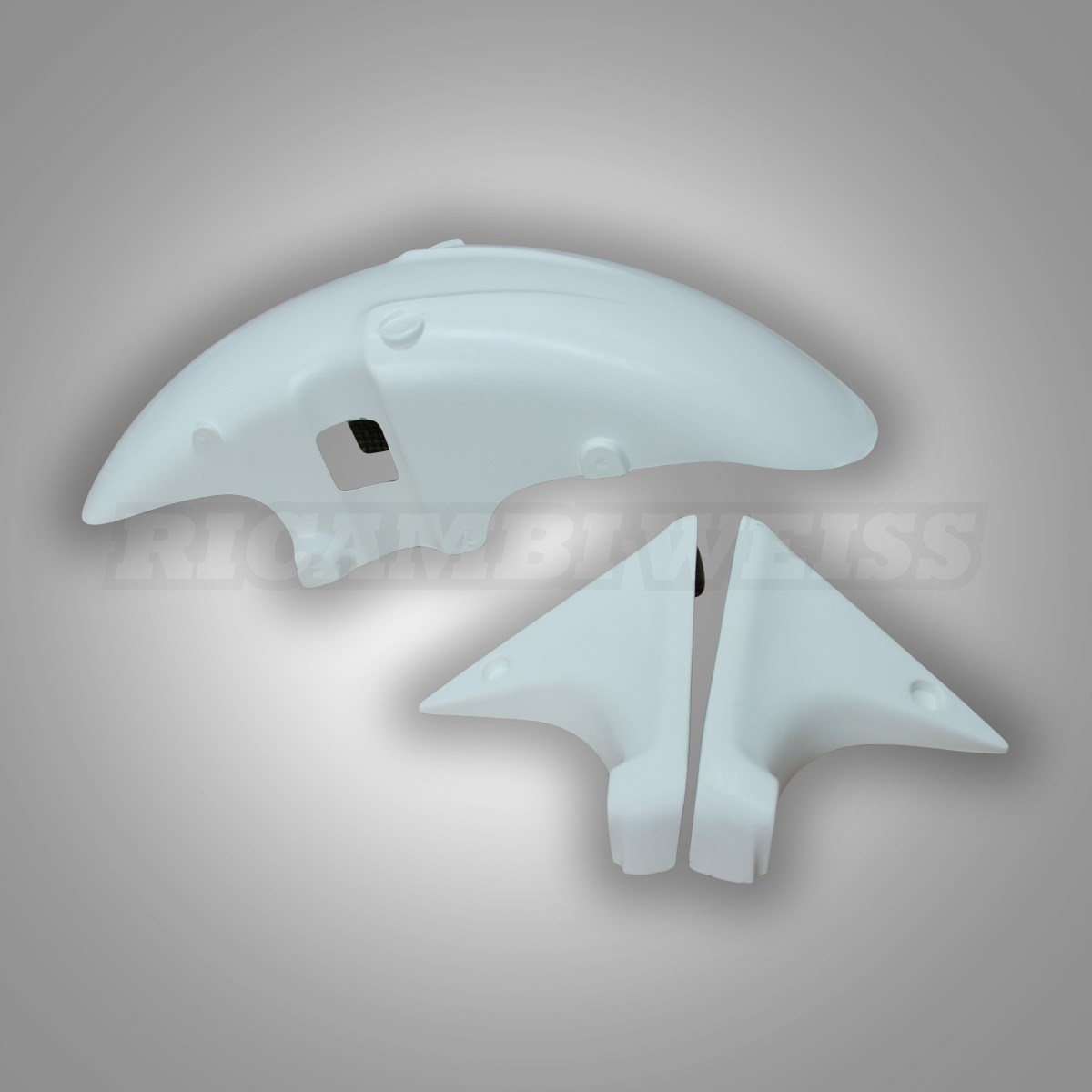 LR67 Kawasaki ZXR 400 Schutzblech vorne