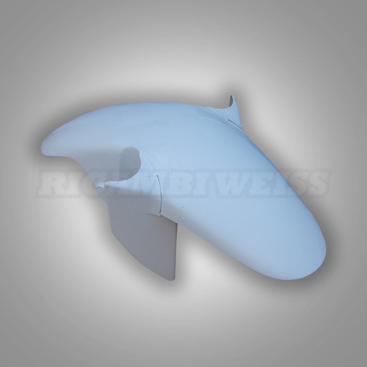 LR253 Yamaha FZR 1000 Schutzblech vorne