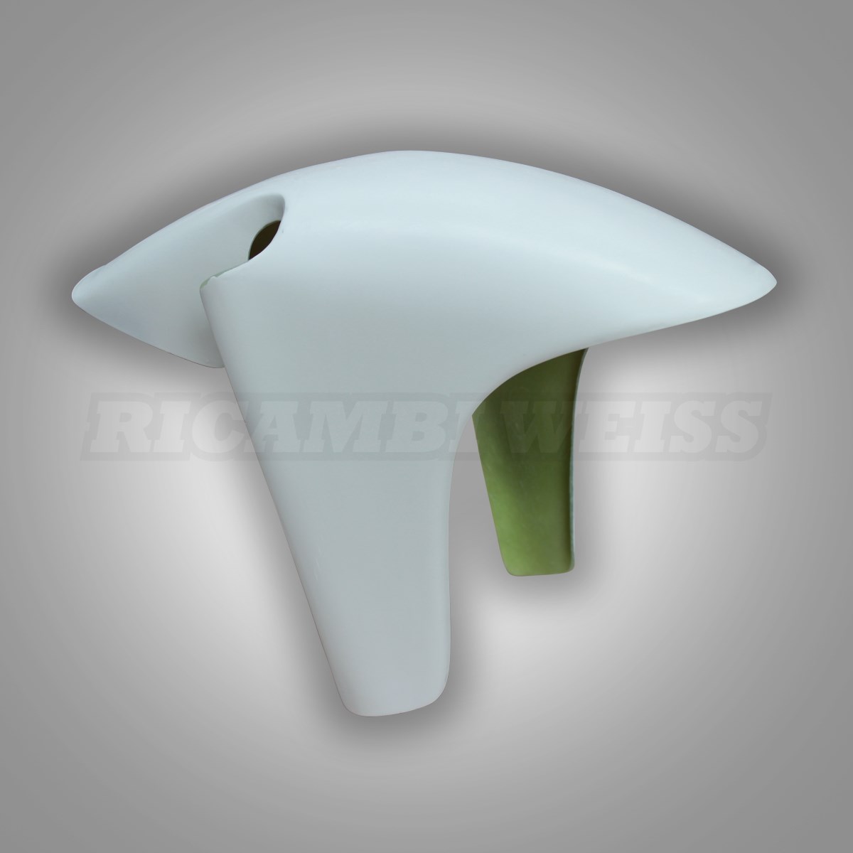 LR77 Schutzblech vorne Aprilia AF 1 250 Production Racer