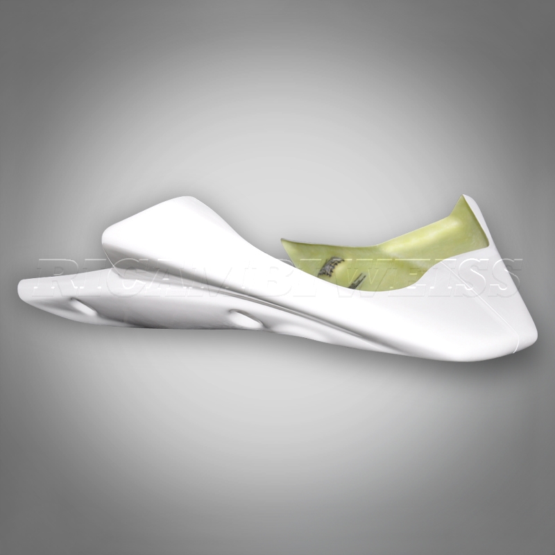 DR479 Kawasaki Z 750 Bugspoiler