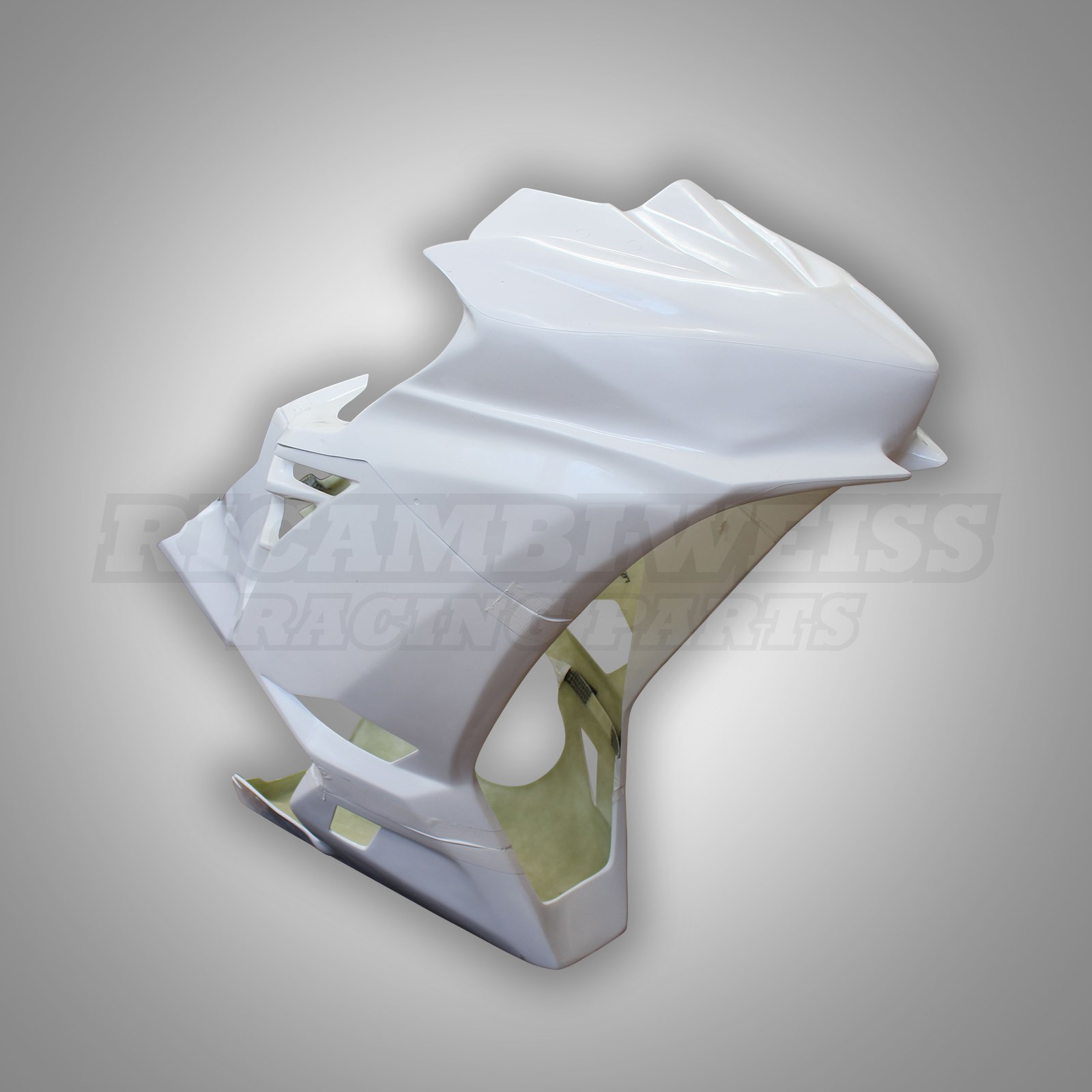 LR385 Kawasaki Ninja 400 Rennverkleidung