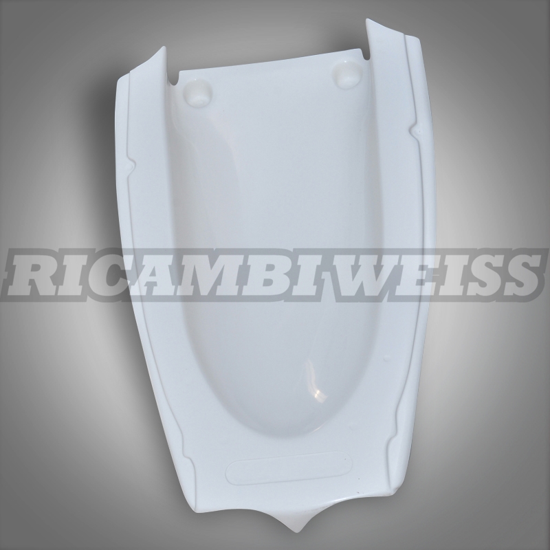 DR220 Kawasaki ZX 9 R Heckunterverkleidung