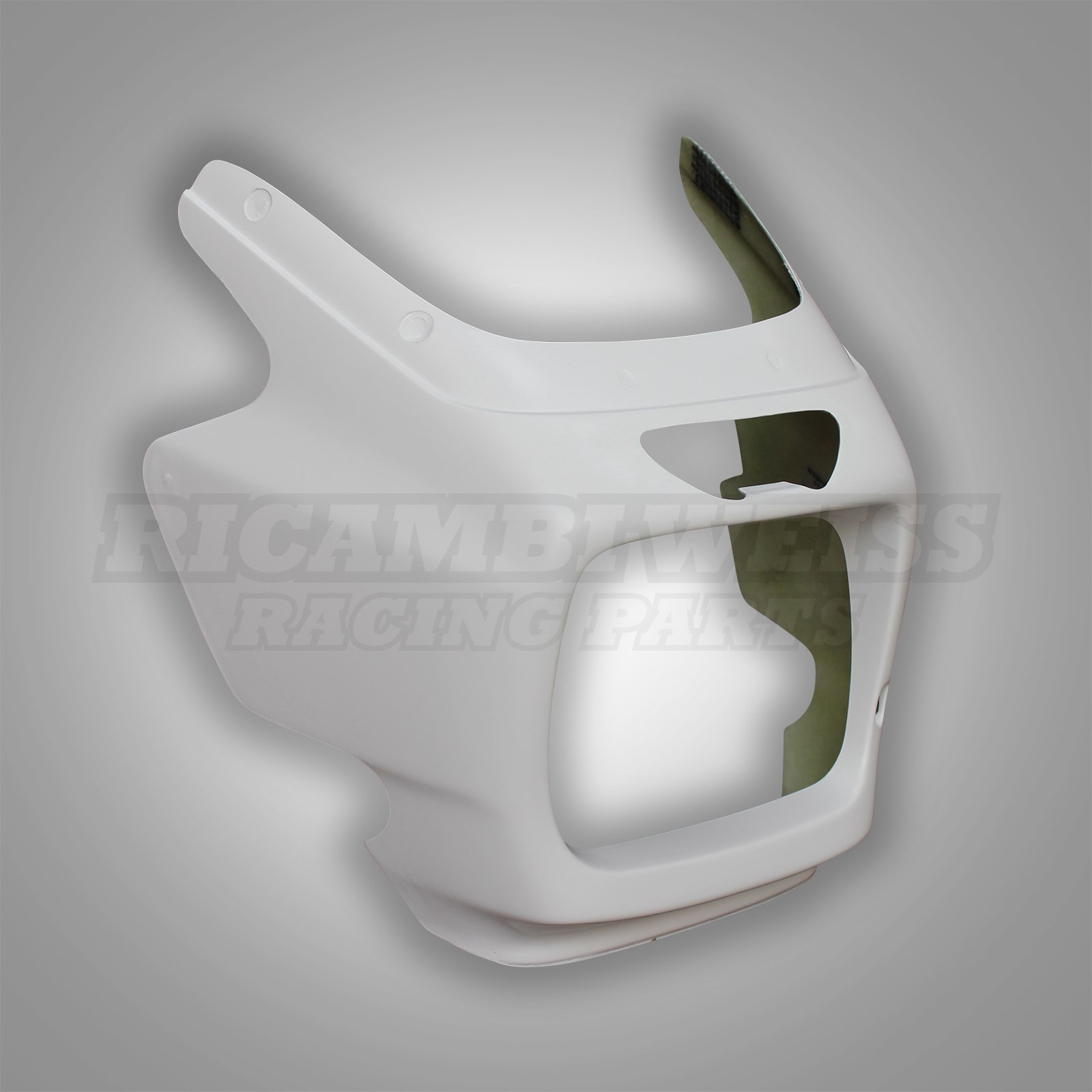 LR296 Kawasaki ZRX 1100 1200 Kanzel