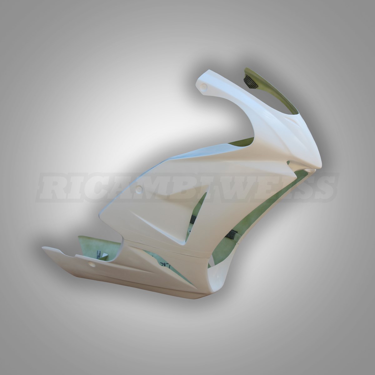 LR250 Honda NSF 100 Rennverkleidung