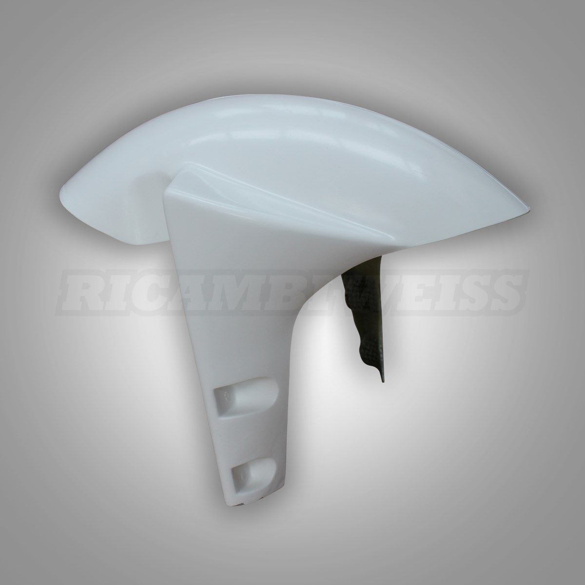 LR49 Schutzblech vorne Honda RS 250