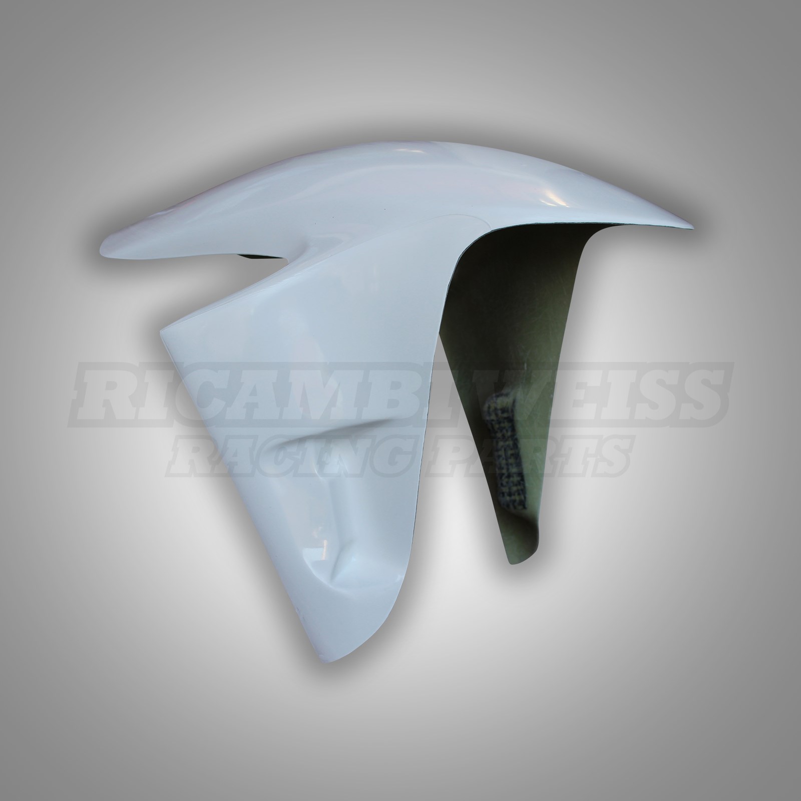 LR340 Schutzblech vorne Ducati 1000 1100 V4 R / S Panigale