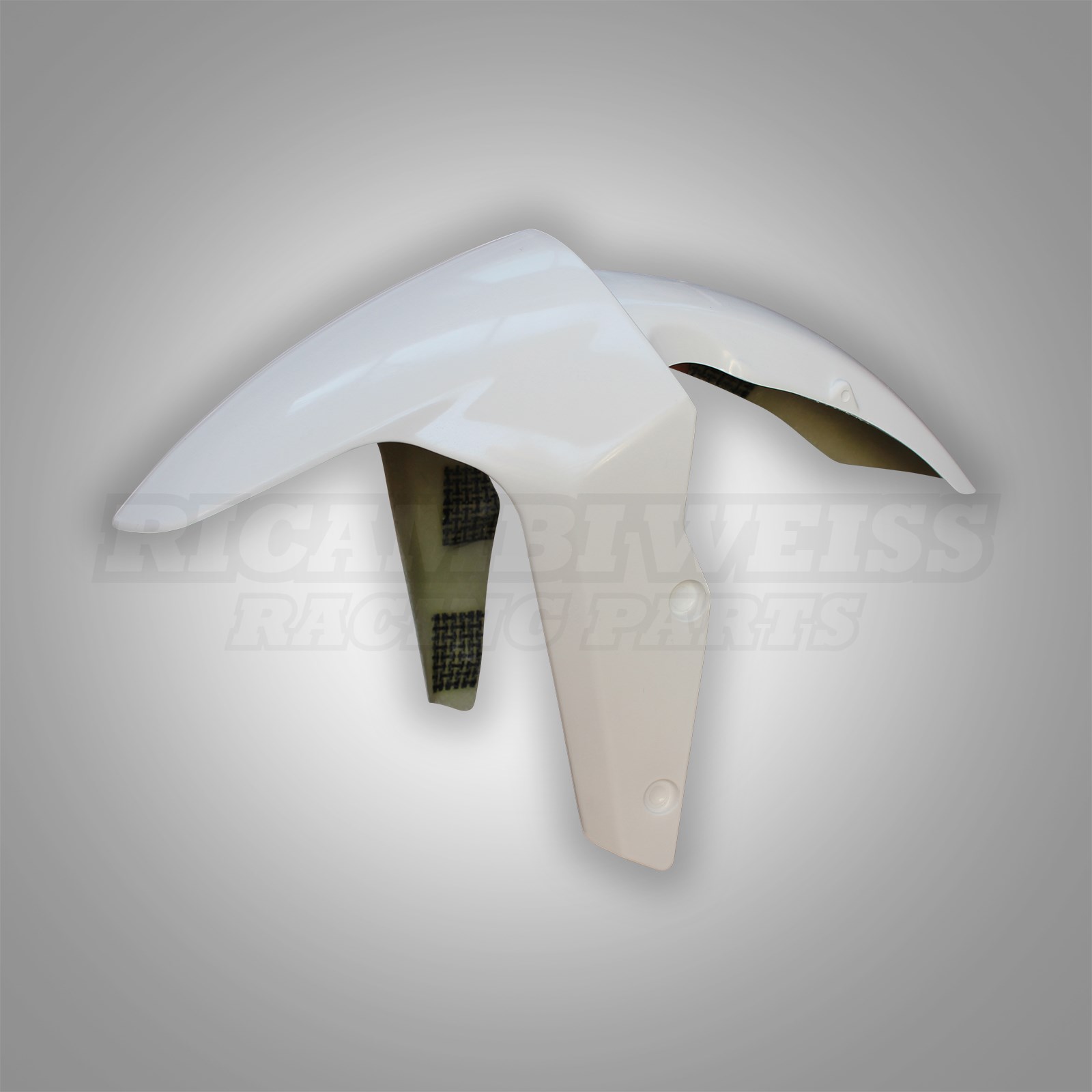 LR280 Schutzblech vorne Aprilia RS4 125