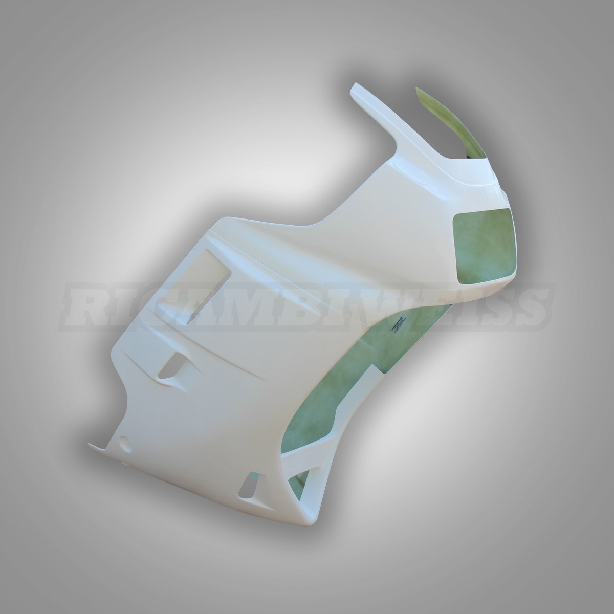 LR248 Yamaha FZ 750 Straßenverkleidung