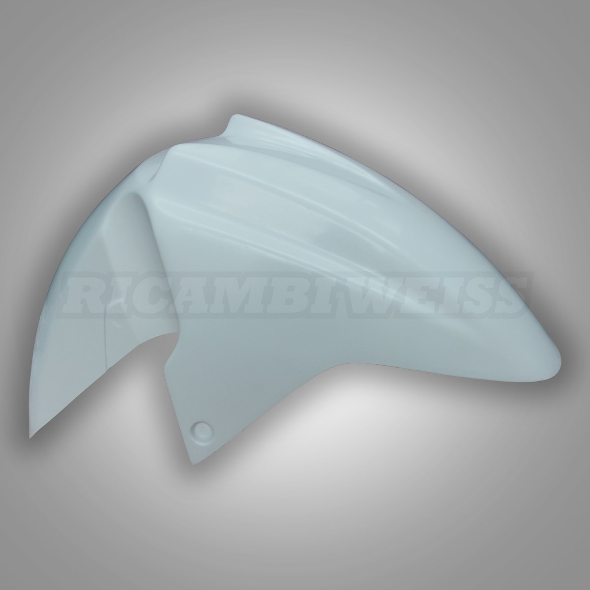 LR34 Schutzblech vorne Suzuki Burgman 250 400