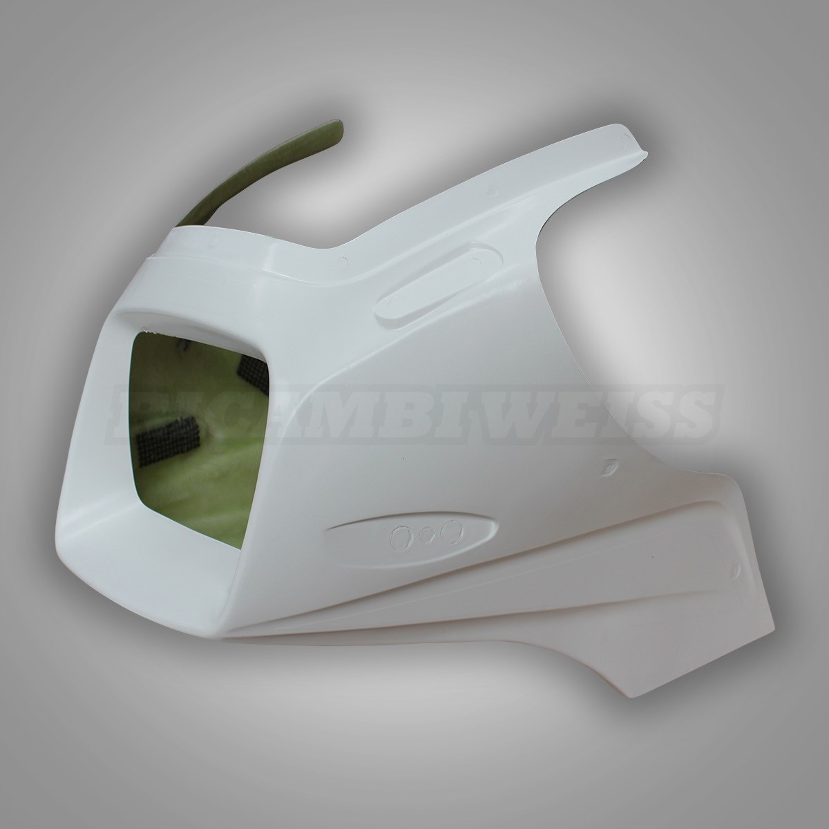 WR56 Kawasaki GPZ 550 Kanzel