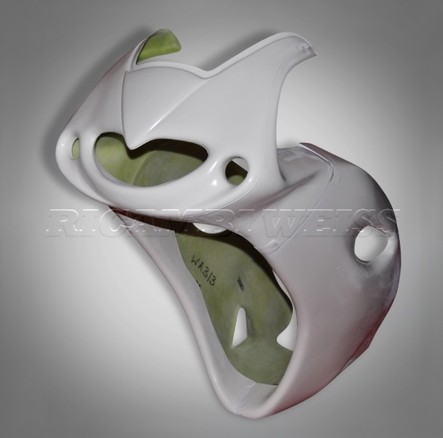 WA3 Straßenverkleidung Suzuki TL 1000 S / R